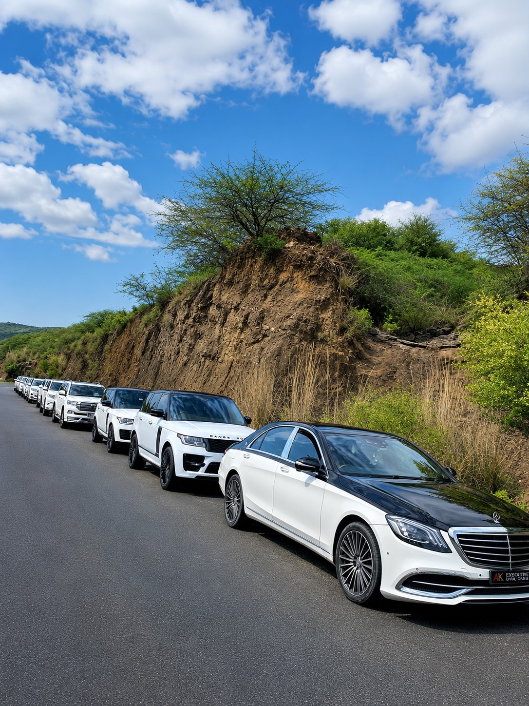 Luxury Toyota SUV